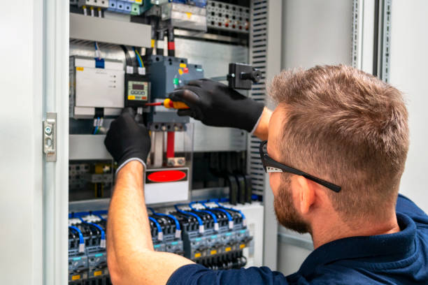 Best Electric Panel Repair  in Omro, WI
